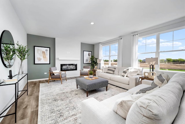 living room featuring light hardwood / wood-style flooring