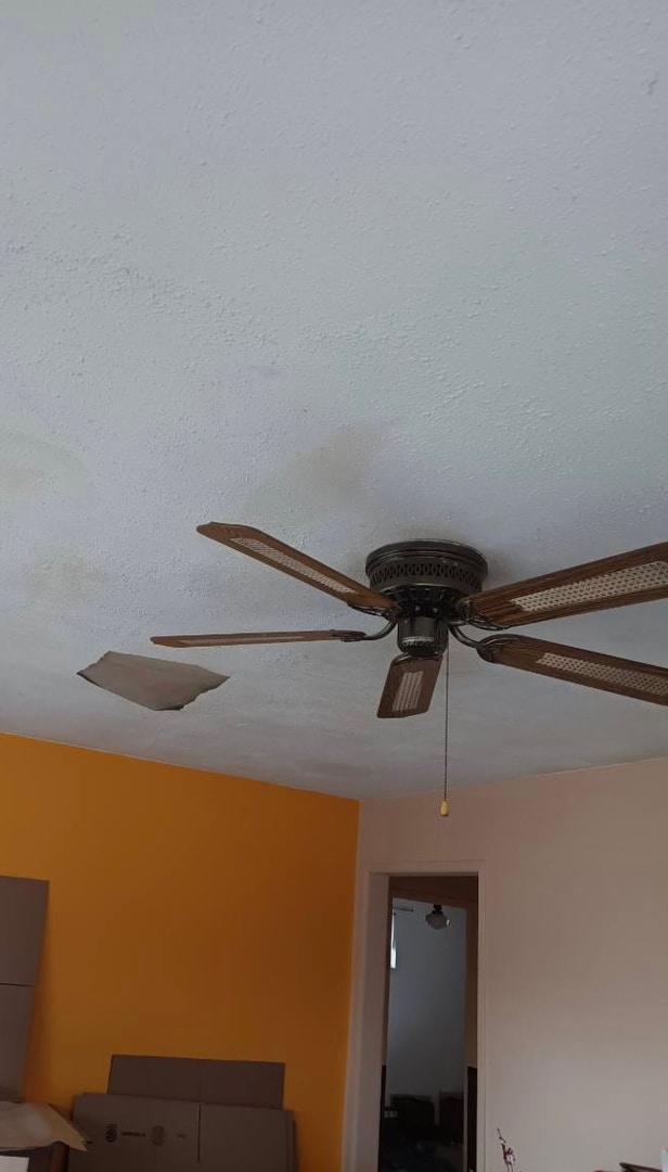 interior details with a textured ceiling and ceiling fan