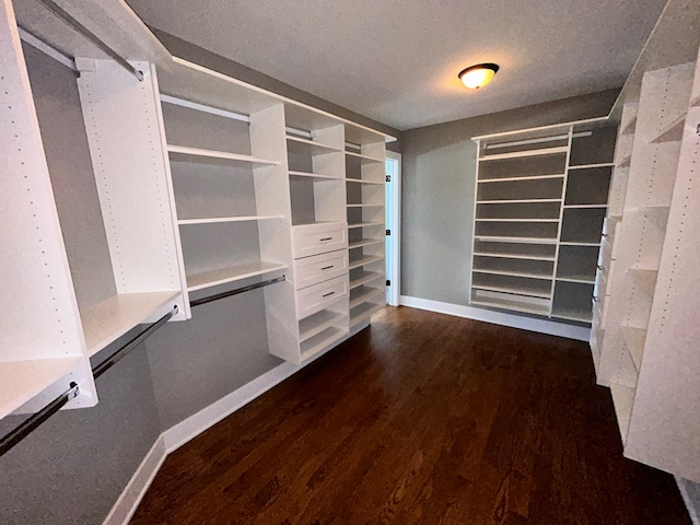 walk in closet with dark wood-type flooring