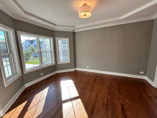 spare room featuring ornamental molding and dark hardwood / wood-style floors