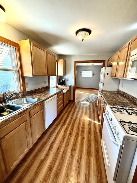 kitchen with sink, hardwood / wood-style flooring, and white appliances