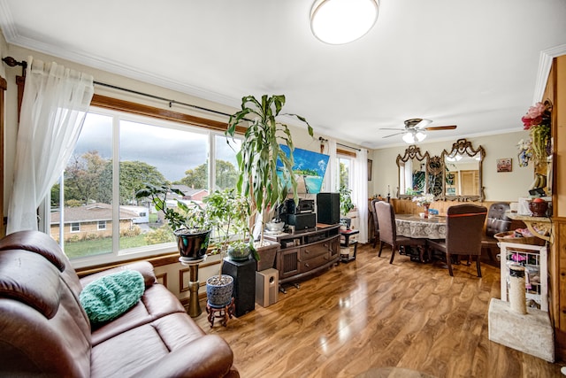 living room featuring ceiling fan, crown molding, and hardwood / wood-style floors