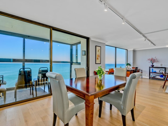 dining room with light hardwood / wood-style floors, ornamental molding, track lighting, and a water view