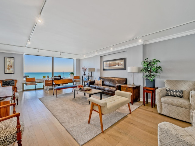 living room with a water view, light hardwood / wood-style floors, crown molding, and rail lighting