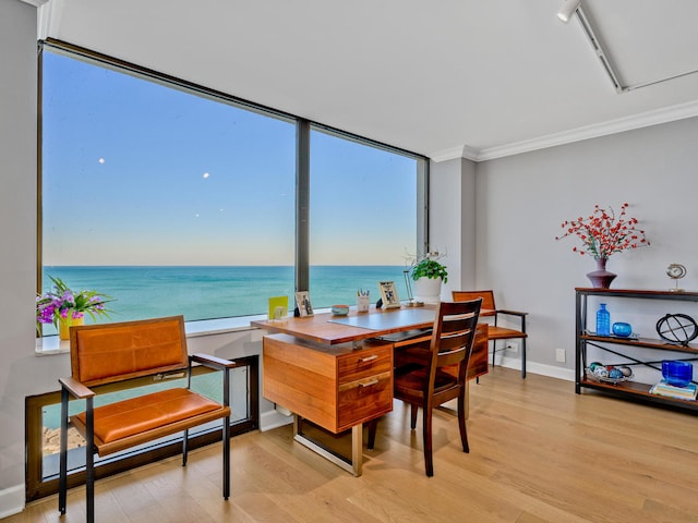 dining room featuring a water view, ornamental molding, and light wood-type flooring