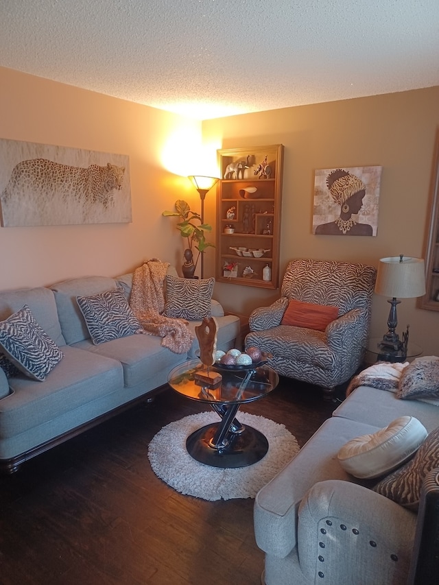 living room with a textured ceiling and dark hardwood / wood-style flooring