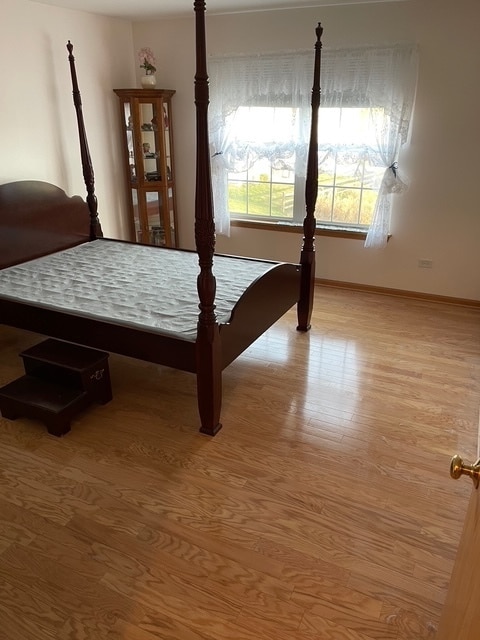 unfurnished bedroom featuring light hardwood / wood-style flooring