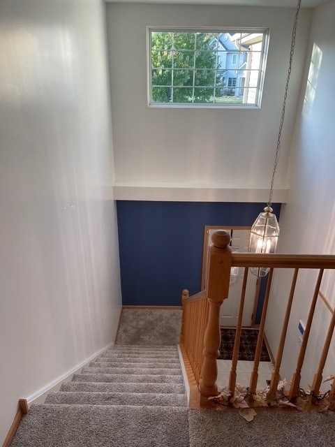 stairway featuring carpet flooring and a chandelier