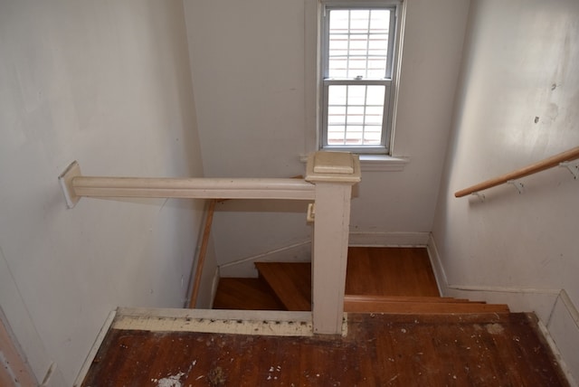 stairway with wood-type flooring