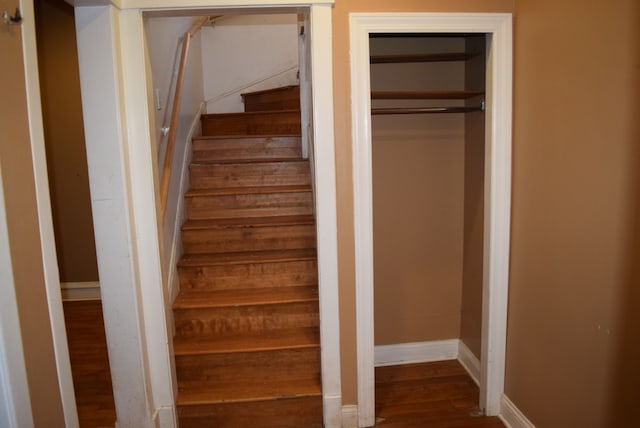 stairs with hardwood / wood-style flooring