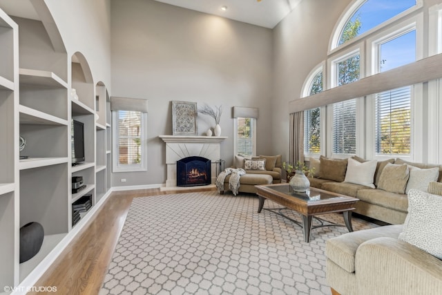 living room featuring a towering ceiling and light hardwood / wood-style floors