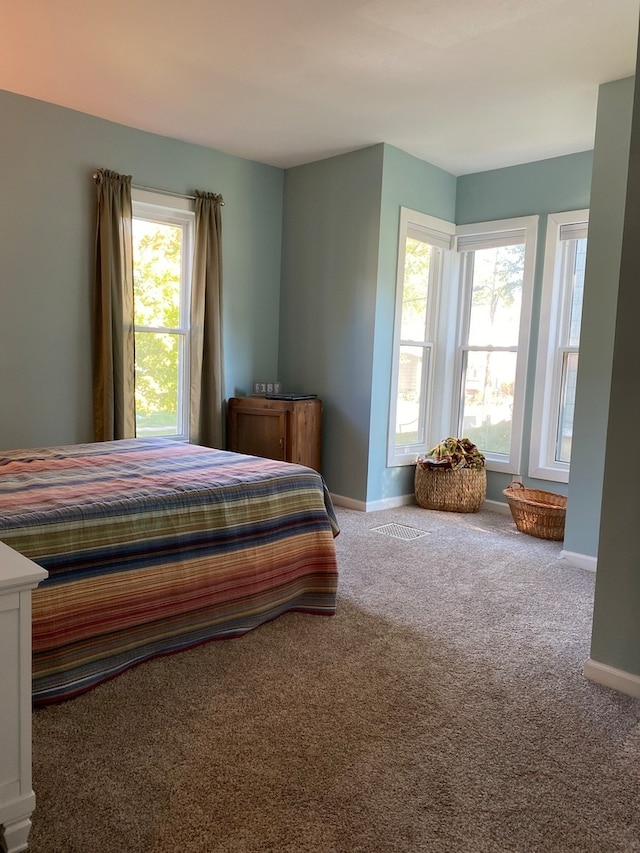 bedroom featuring multiple windows and carpet floors