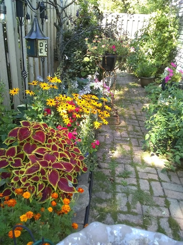 view of yard with fence and a patio