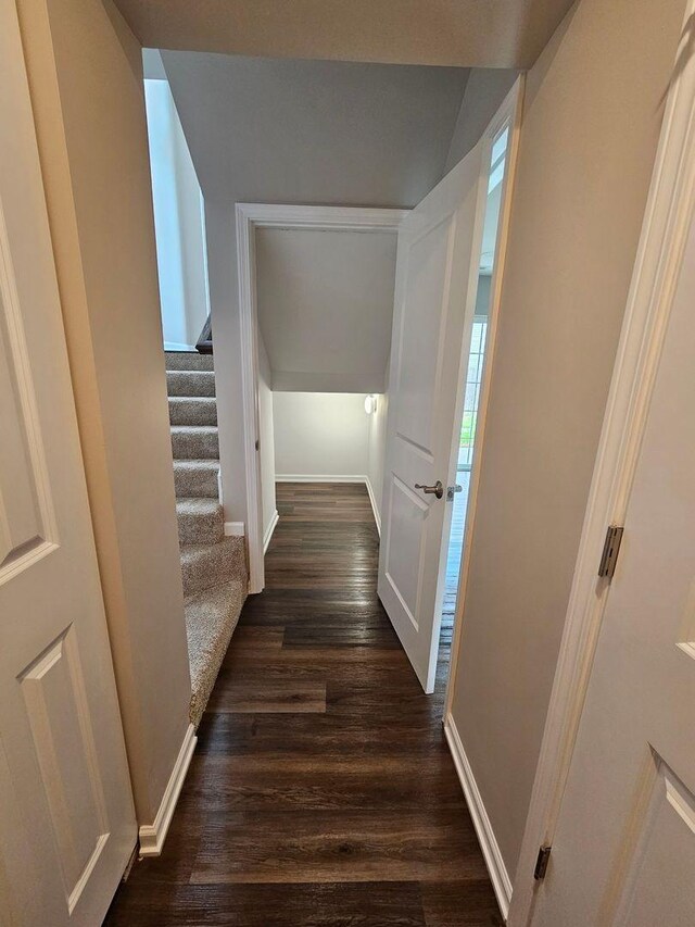 hallway featuring dark hardwood / wood-style floors