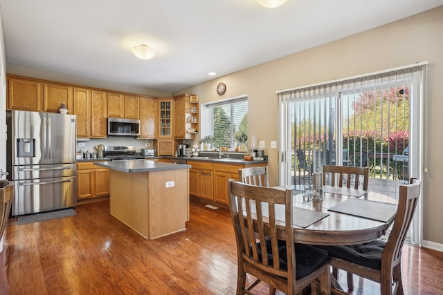 kitchen with sink, a kitchen island, stainless steel appliances, and dark hardwood / wood-style floors