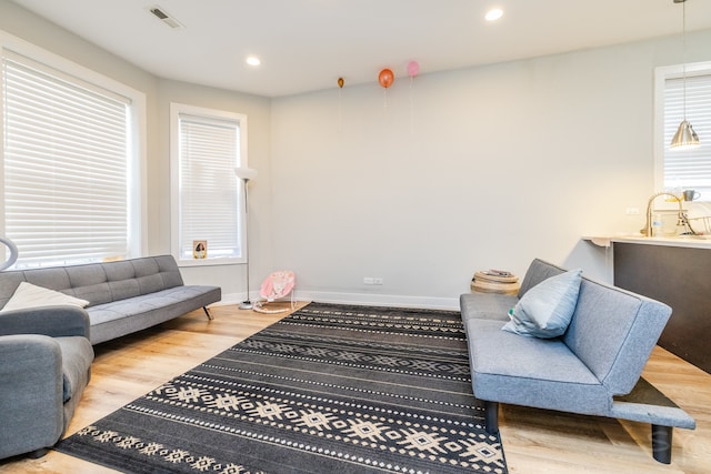 sitting room with wood-type flooring and sink