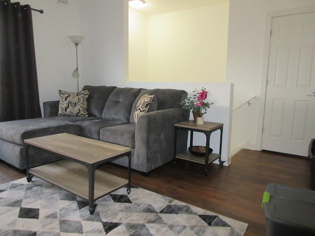 living room with wood-type flooring