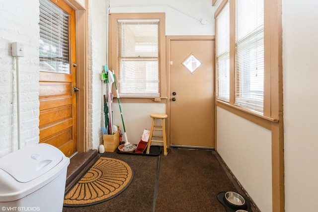 entryway with dark carpet