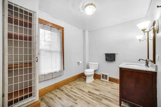 bathroom featuring hardwood / wood-style floors, vanity, and toilet