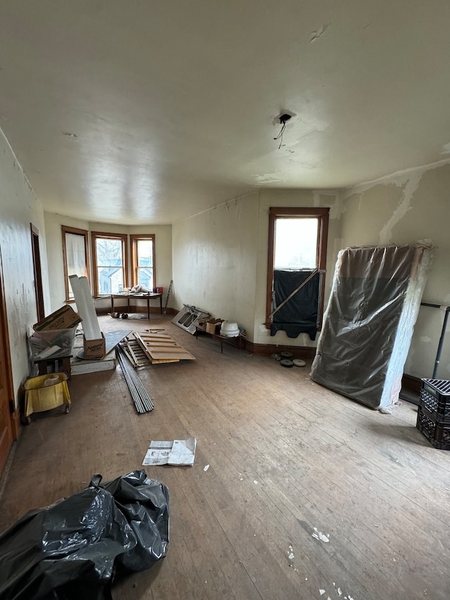 misc room featuring wood-type flooring and a healthy amount of sunlight