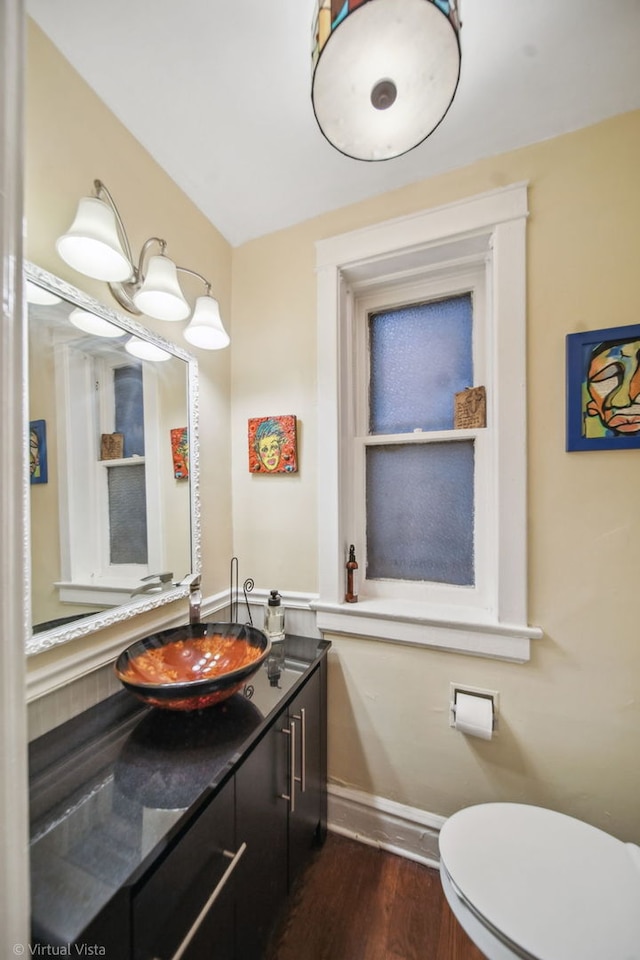 bathroom with vanity, hardwood / wood-style flooring, and toilet