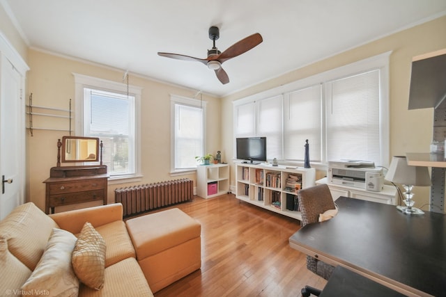 living room featuring radiator, ceiling fan, ornamental molding, and light wood-type flooring