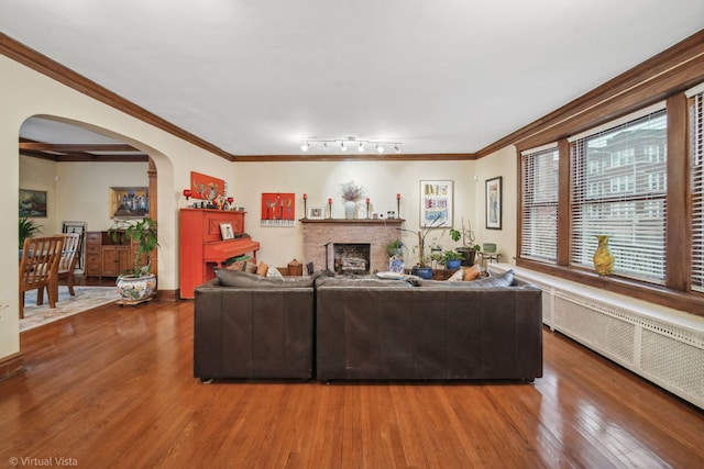 living room with radiator heating unit, rail lighting, wood-type flooring, and ornamental molding