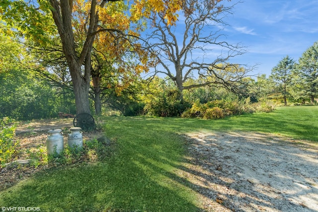view of green lawn