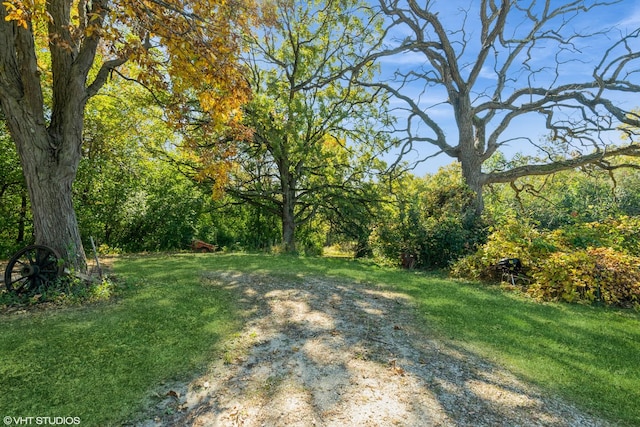 view of grassy yard featuring a wooded view