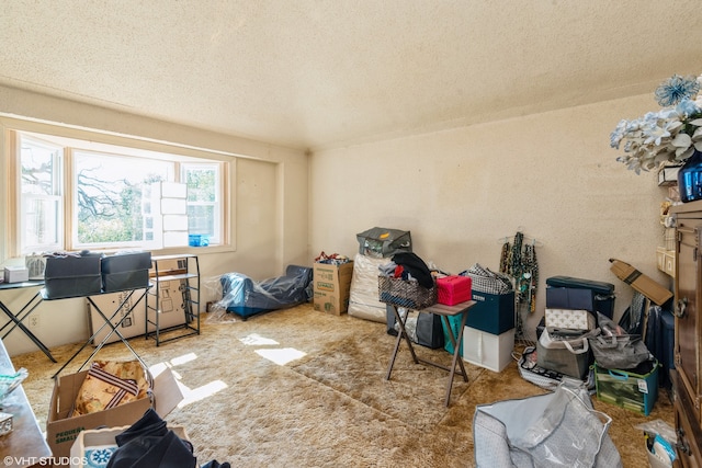 misc room featuring a textured ceiling and carpet floors