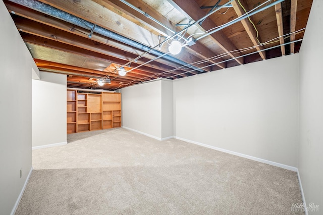 basement featuring carpet