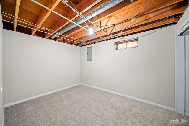 basement with carpet floors and electric panel