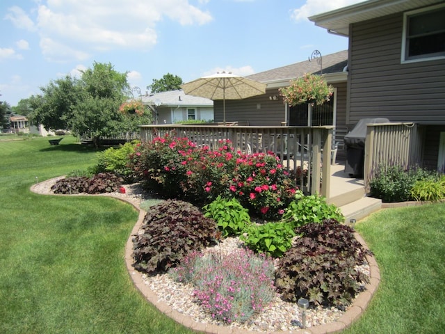 view of yard featuring a deck