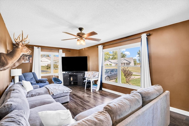 living room featuring dark hardwood / wood-style floors, a textured ceiling, and ceiling fan