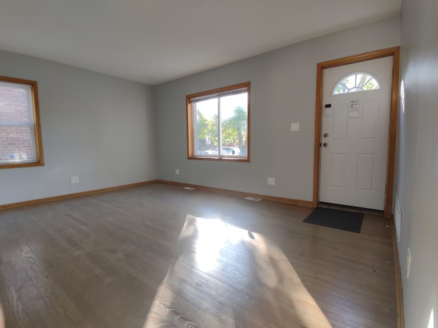 entryway with wood-type flooring