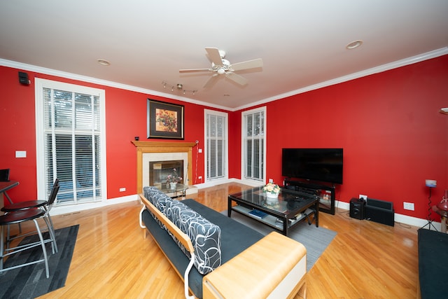 living room with crown molding, hardwood / wood-style flooring, and ceiling fan