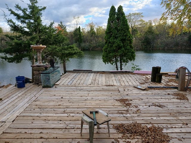 dock area with a water view