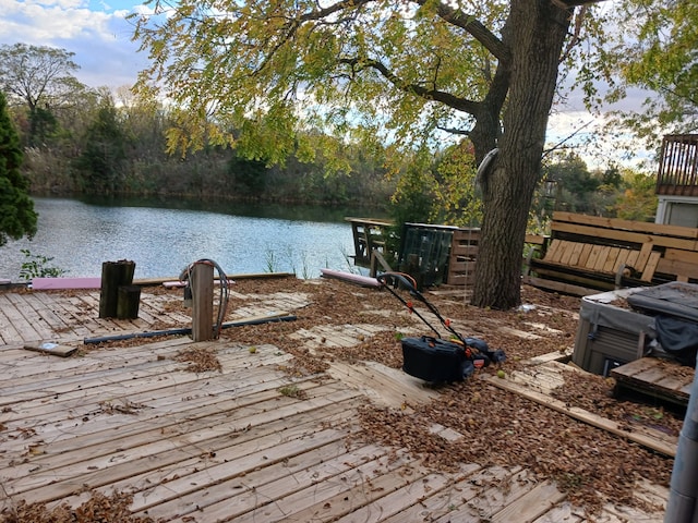 dock area with a water view