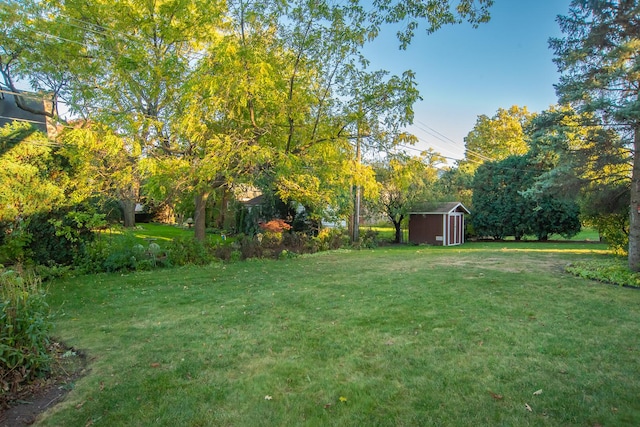 view of yard featuring a storage shed