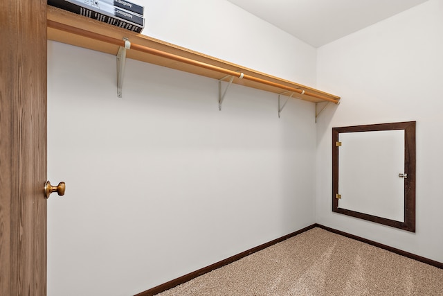 walk in closet with carpet floors