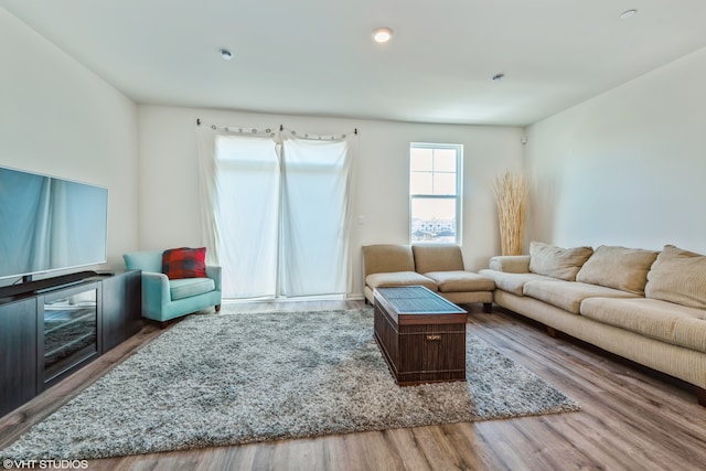 living room featuring hardwood / wood-style floors