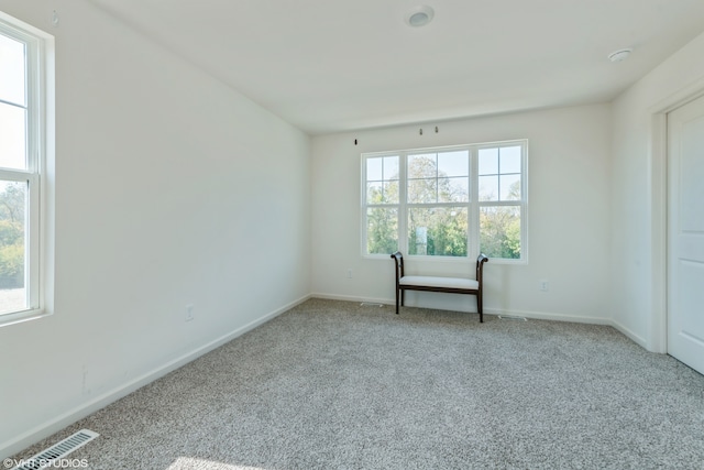 carpeted empty room featuring plenty of natural light