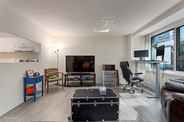 living room featuring light wood-type flooring