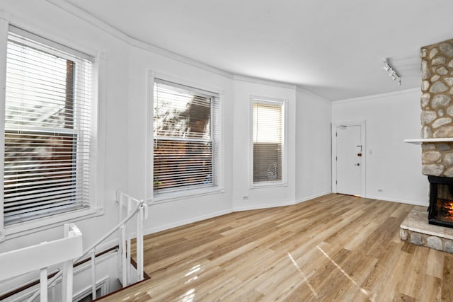 unfurnished living room with ornamental molding, light hardwood / wood-style flooring, and a fireplace