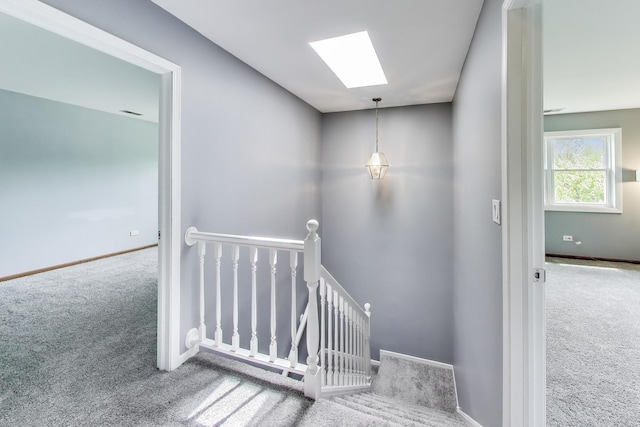 stairway with carpet, baseboards, and a skylight