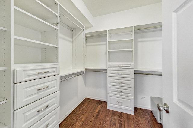 spacious closet with dark wood-type flooring