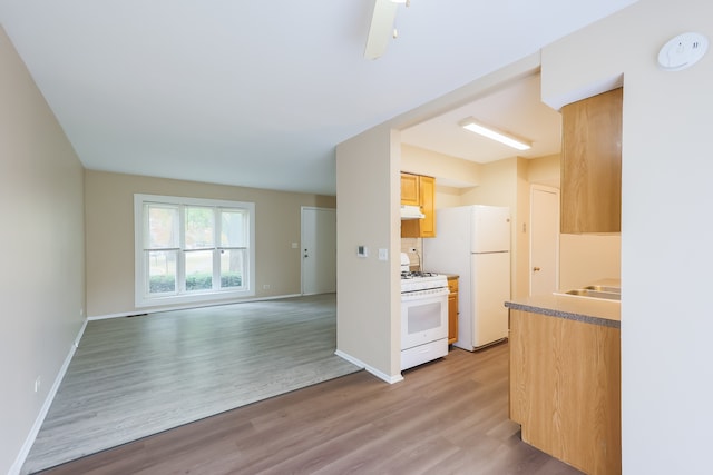 kitchen with white appliances, light hardwood / wood-style flooring, and light brown cabinets