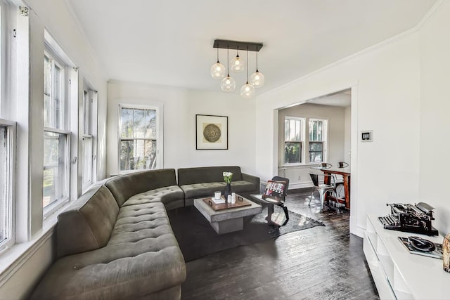 living room featuring dark wood-type flooring, crown molding, a wealth of natural light, and an inviting chandelier