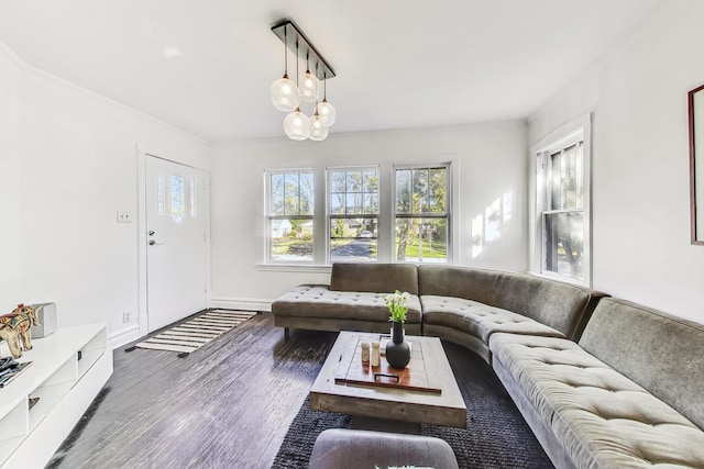 living room featuring ornamental molding and dark hardwood / wood-style floors