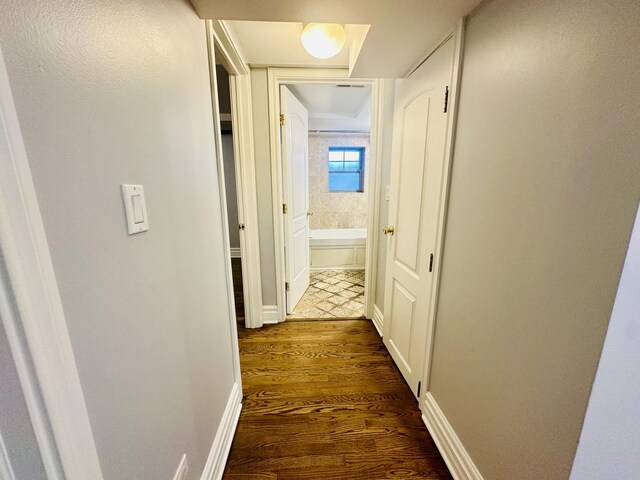 hallway featuring dark wood-type flooring